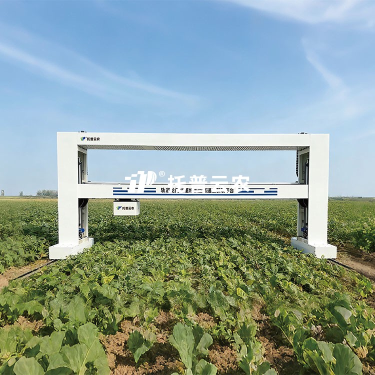 龍門式高通量表型采集分析平臺（地軌式）